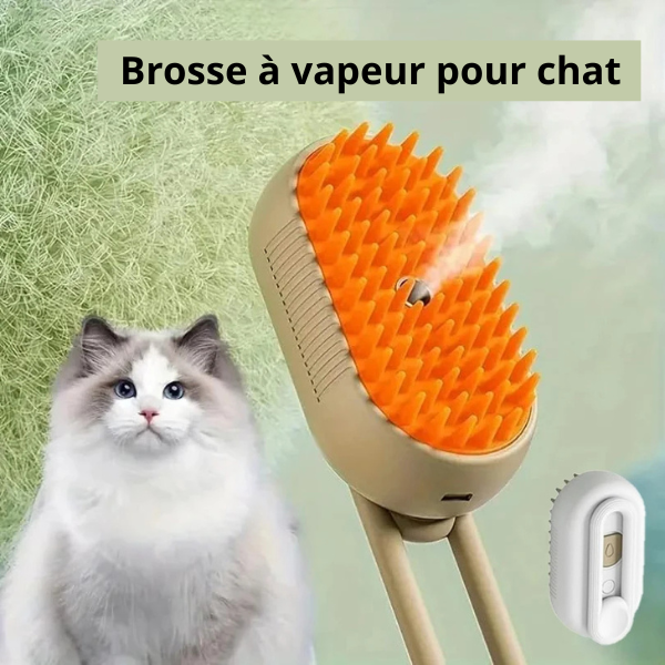 Brosse à vapeur pou chat