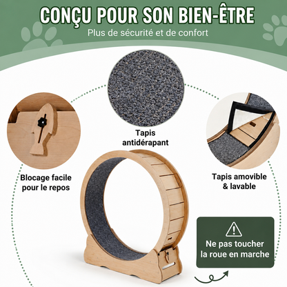 roue pour chat