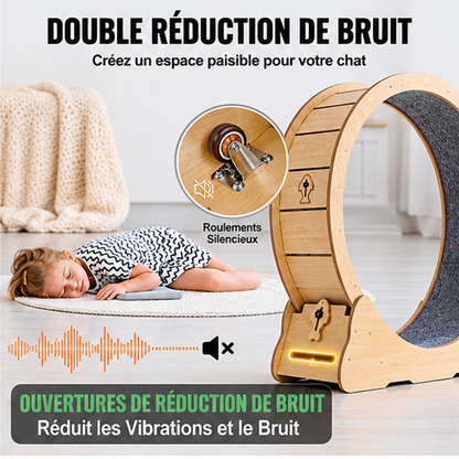 roue pour chat