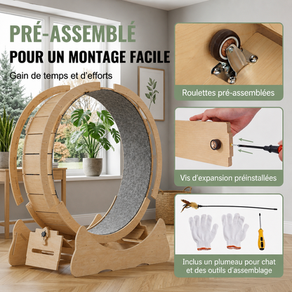 roue pour chat