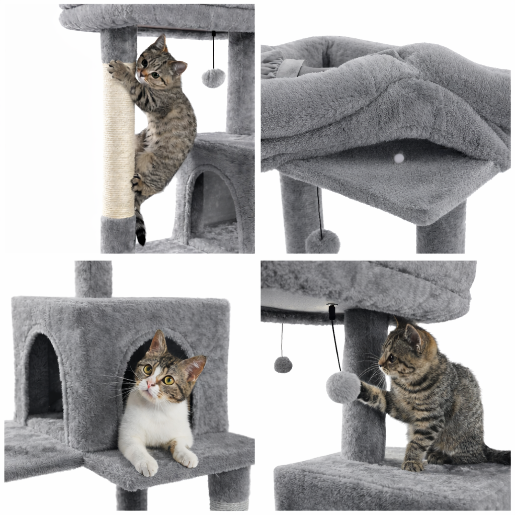 Arbre à chat prémium