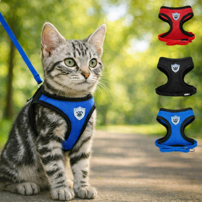 harnais pour chat