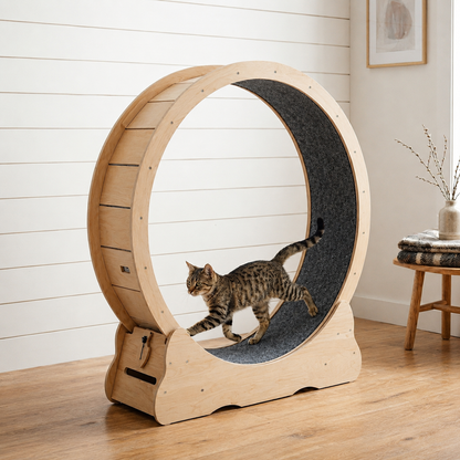 Roue pour chat XL — Le tapis de course silencieux en bois