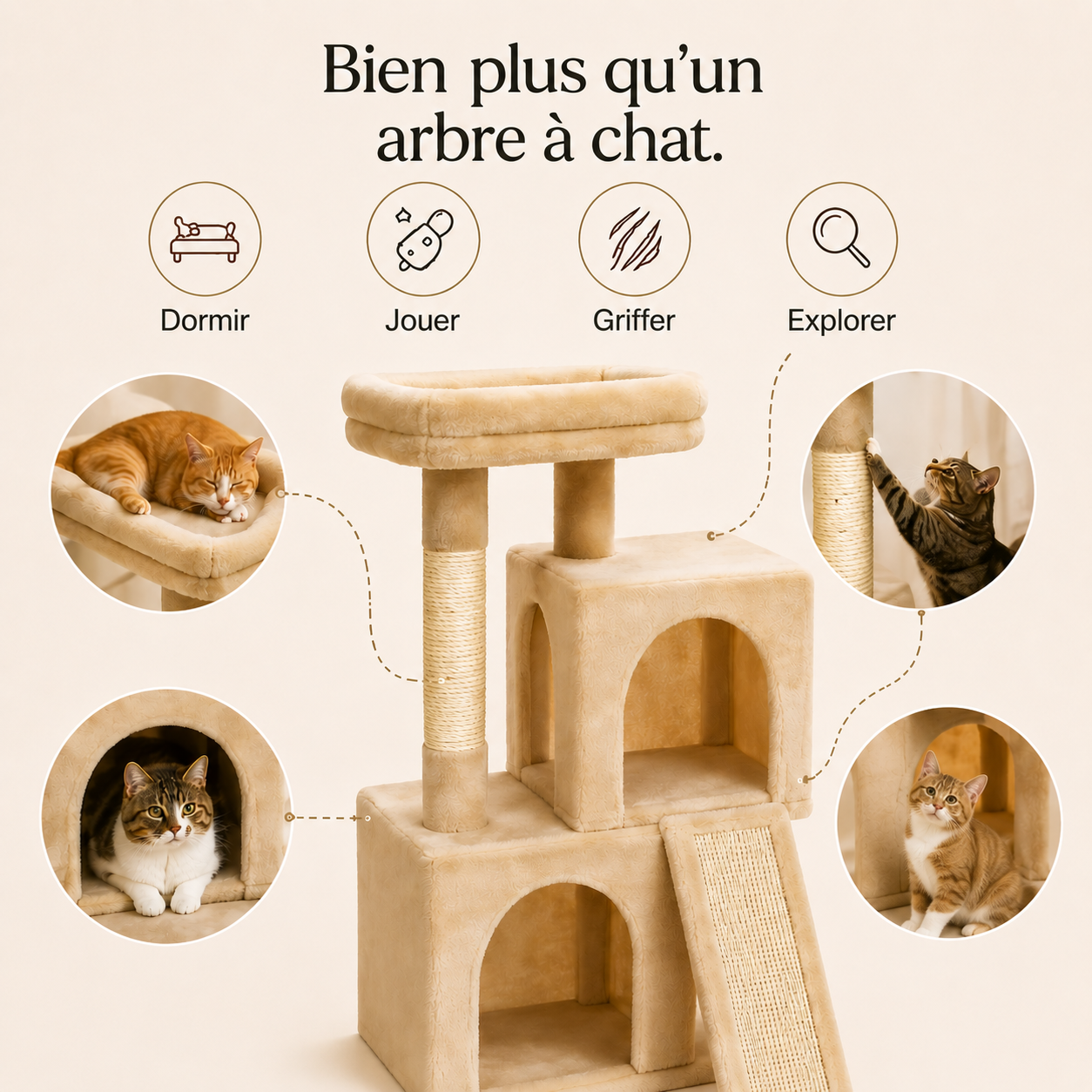 arbre à chat 