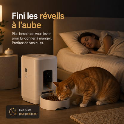 distributeur de croquettes automatique 