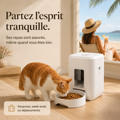 distributeur de croquettes automatique 