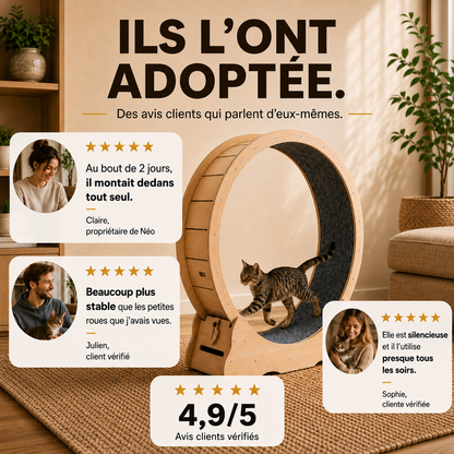 roue pour chat