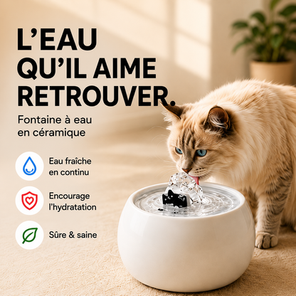 Fontaine à eau pour chat en céramique
