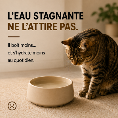 Fontaine à eau pour chat en céramique
