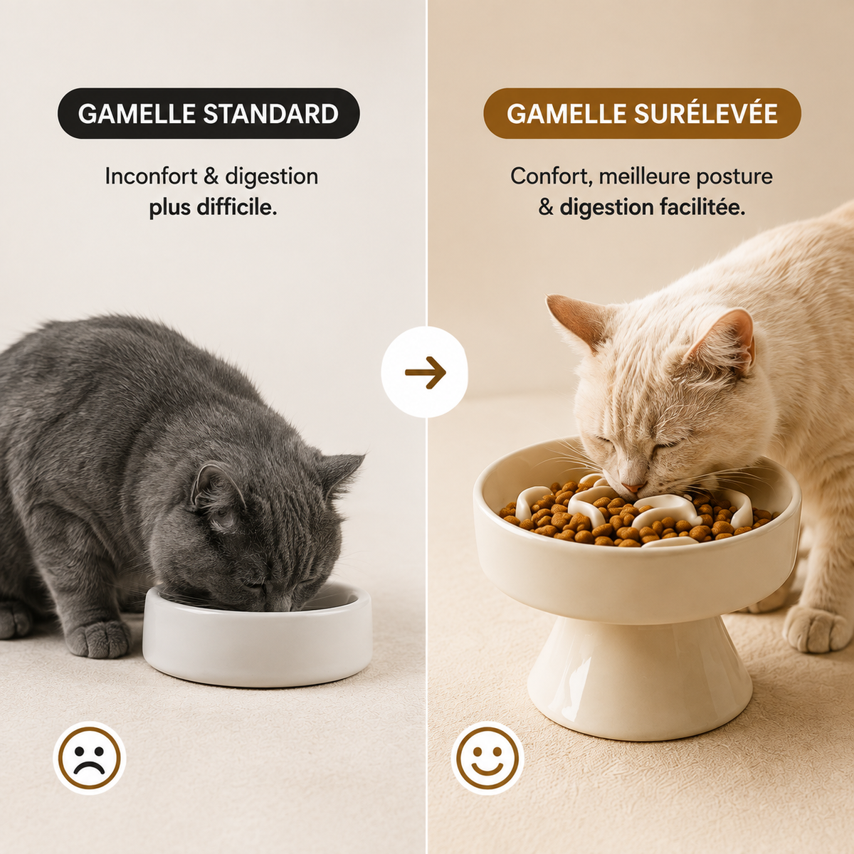 gamelle anti glouton pour chat