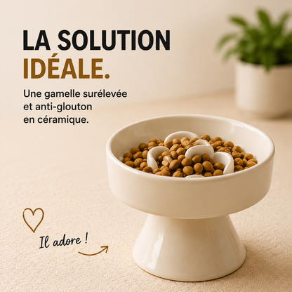 gamelle anti glouton pour chat