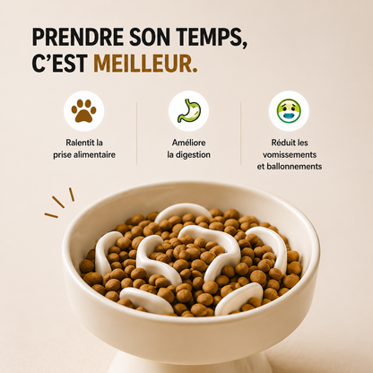 gamelle anti glouton pour chat
