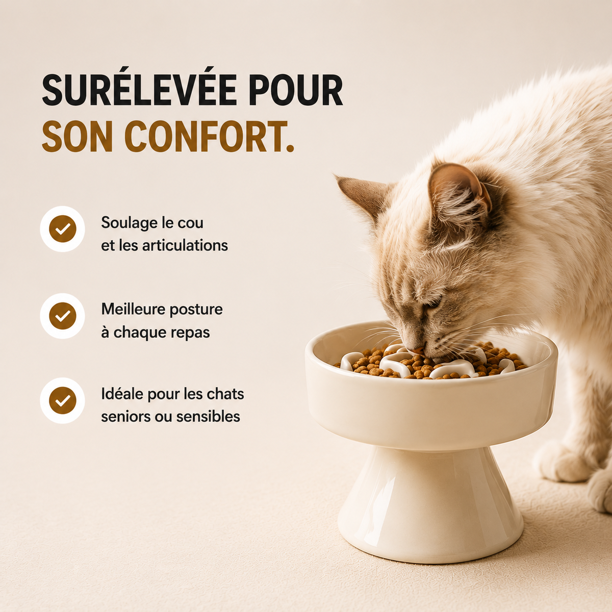 gamelle anti glouton pour chat