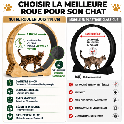 Roue pour Chat XL en Bois — Protection Vertébrale & Nuit Sereine