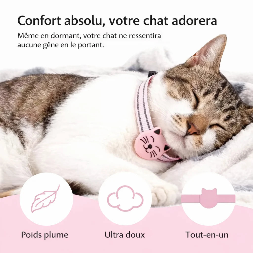 collier GPS pour chat
