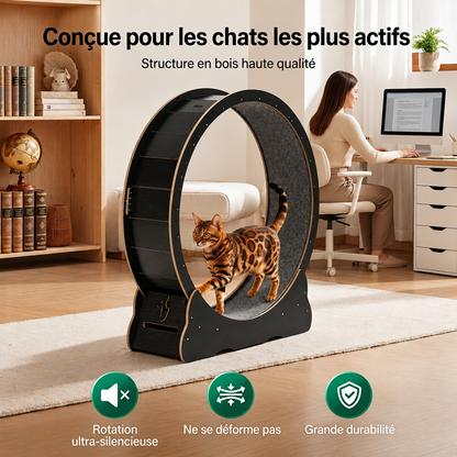 roue pour chat