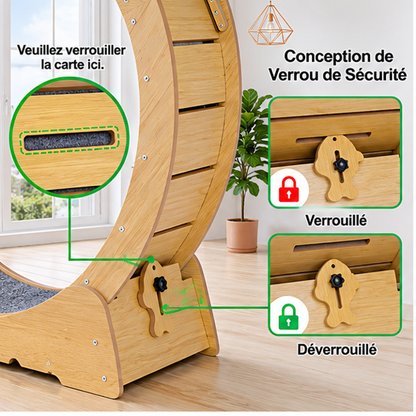 roue pour chat