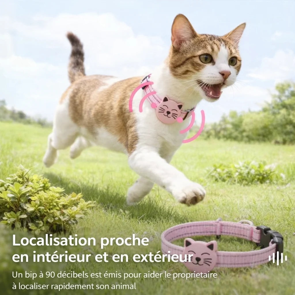 collier GPS pour chat