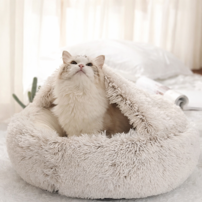 lit pour chat