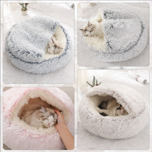 lit pour chat
