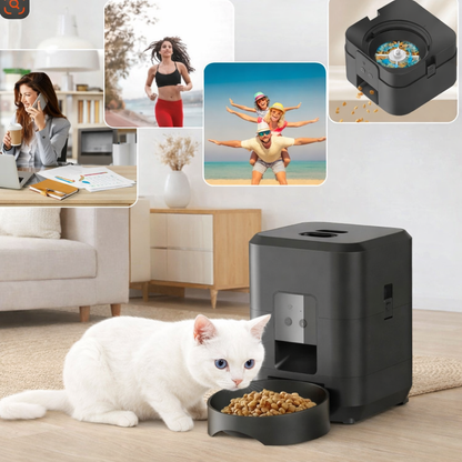 distributeur croquettes chat