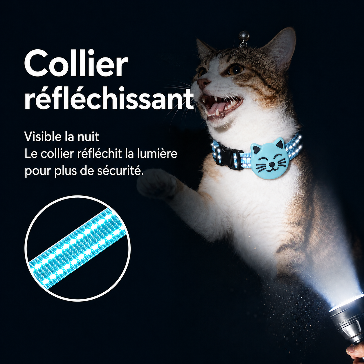 collier GPS
