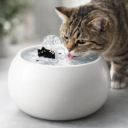 fontaine à eau pour chat 