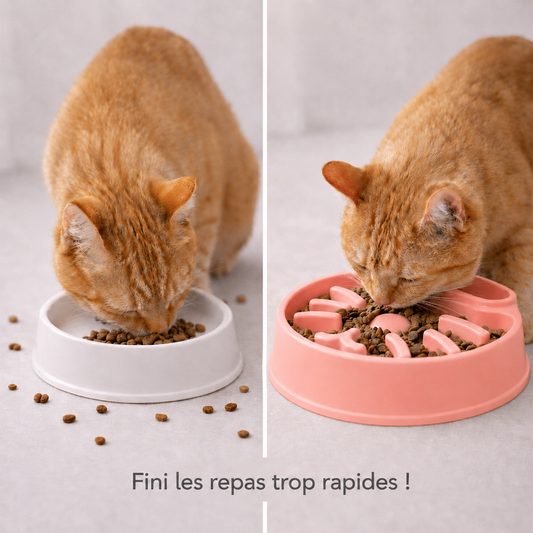 Gamelle anti glouton chat - Repas lent