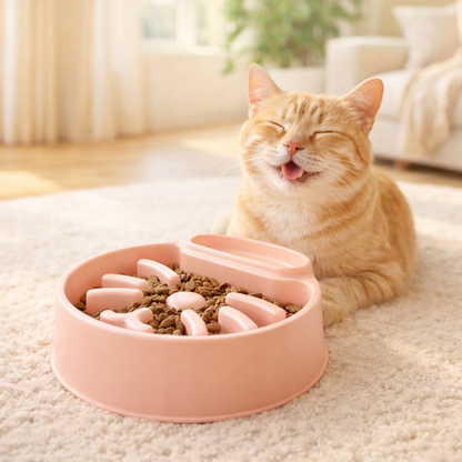 Gamelle anti glouton chat - Repas lent
