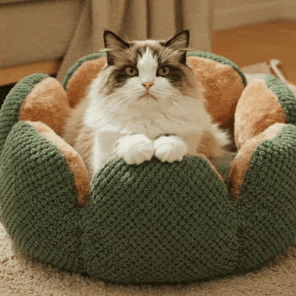 Panier pour chat Pétal'Cactus