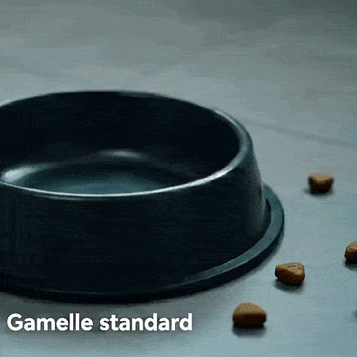 Distributeur automatique de croquettes connecté  avec camera et micro pour chat