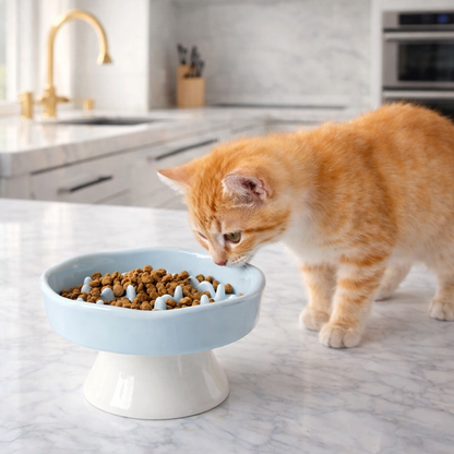 Gamelle anti-glouton surélevée en céramique pour chat