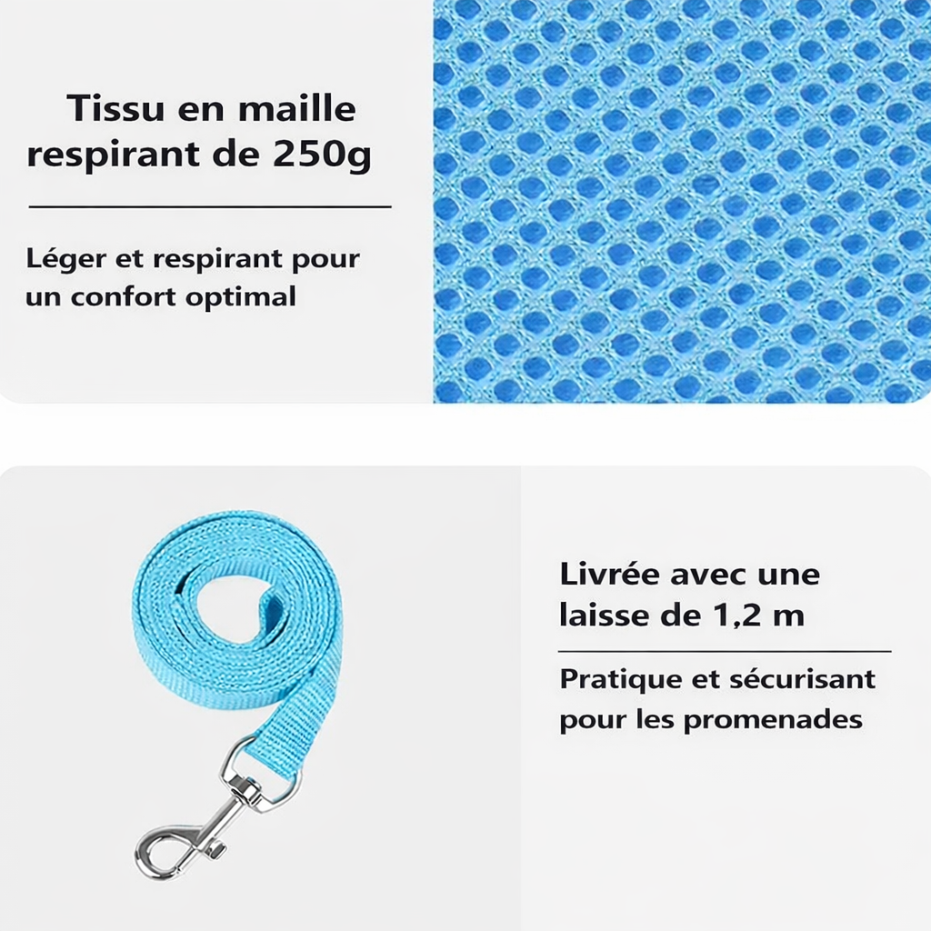 harnais pour chat