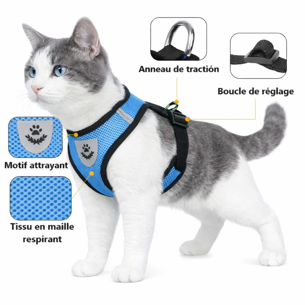 harnais pour chat