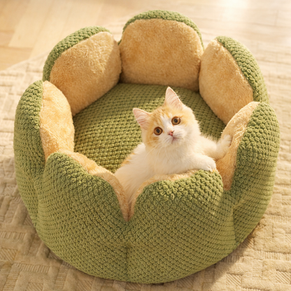Panier pour chat Pétal'Cactus