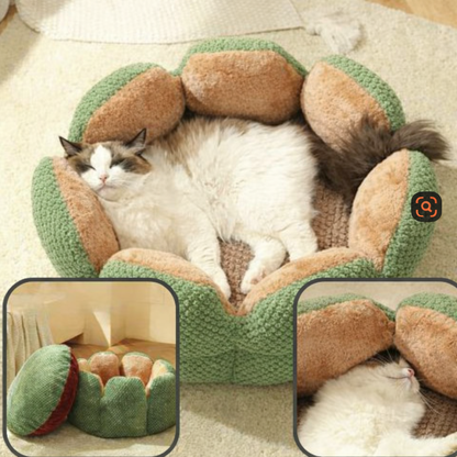 Panier pour chat Pétal'Cactus