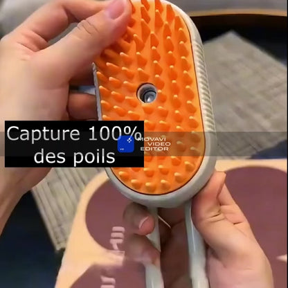 Brosse de toilettage à  vapeur pour chat