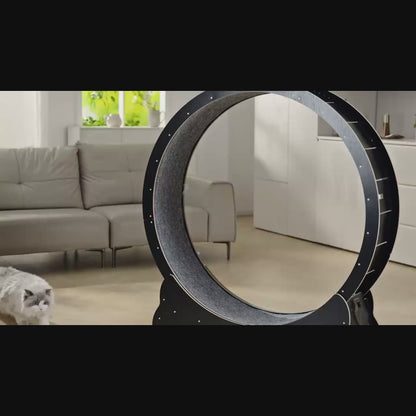 Roue pour chat XL — Le tapis de course silencieux en bois