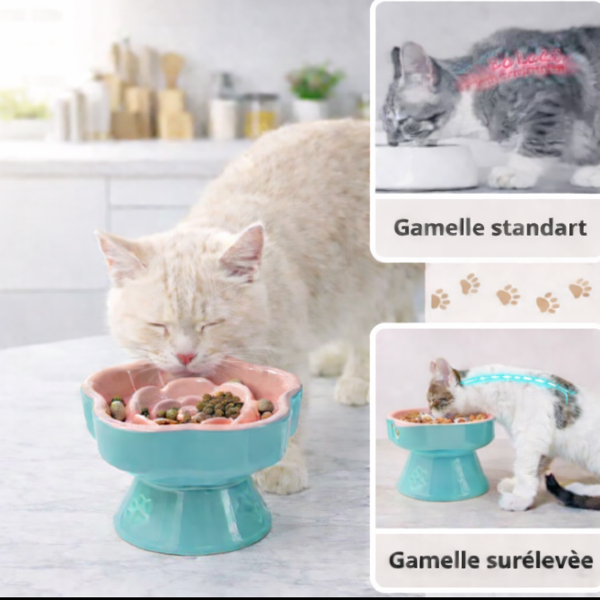 Gamelle anti glouton surélevé en céramique