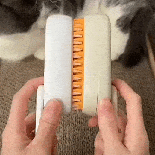 brosse pour chat
