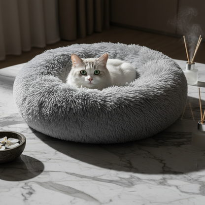 Variante 2 – Studio luxe